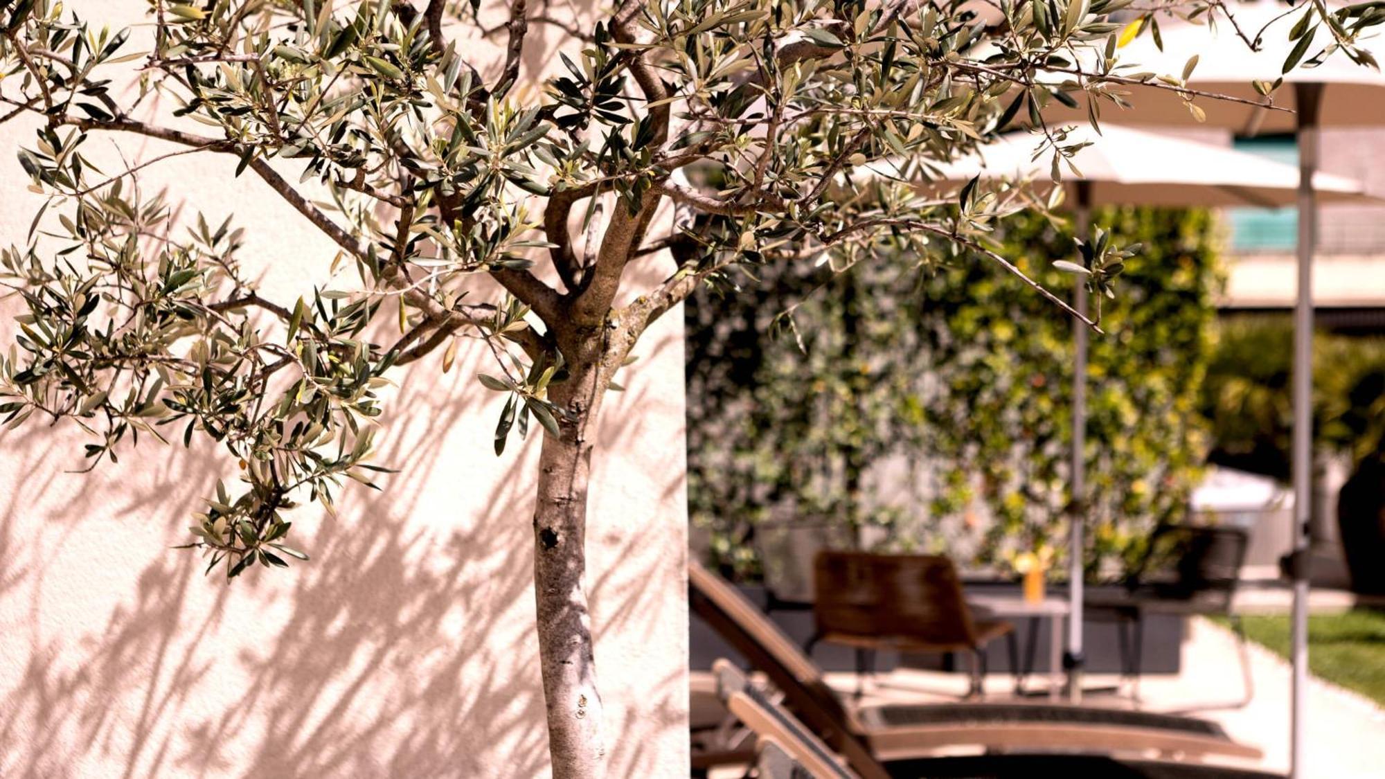 Hotel City Hotel Merano 4*